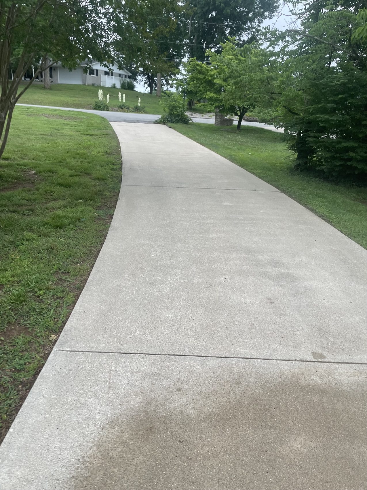 Driveway after cleaning