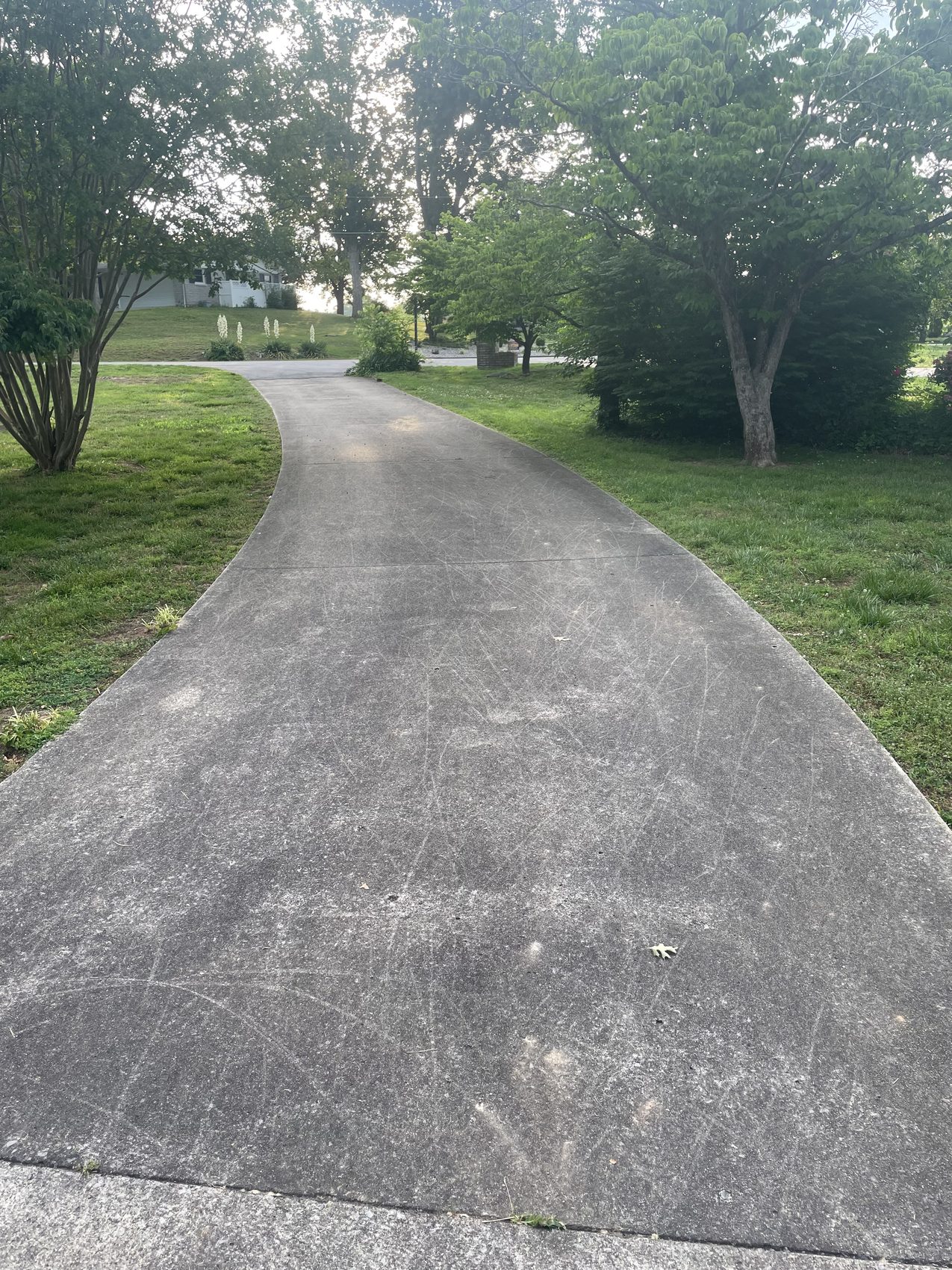 Driveway before cleaning