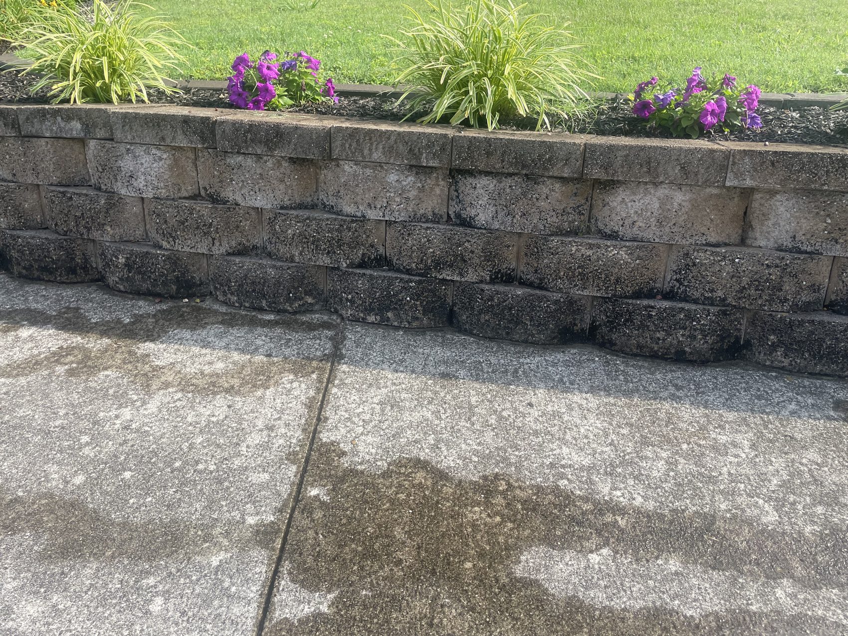 Retaining wall before cleaning