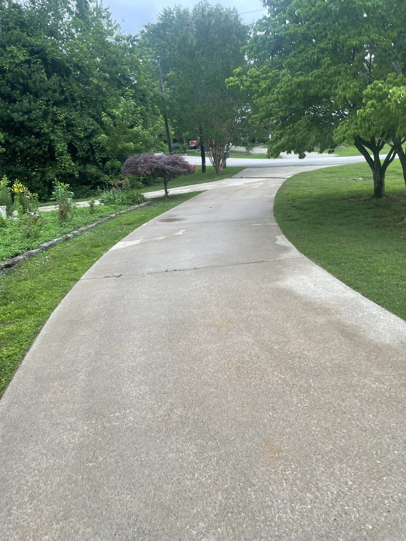 Concrete driveway after cleaning
